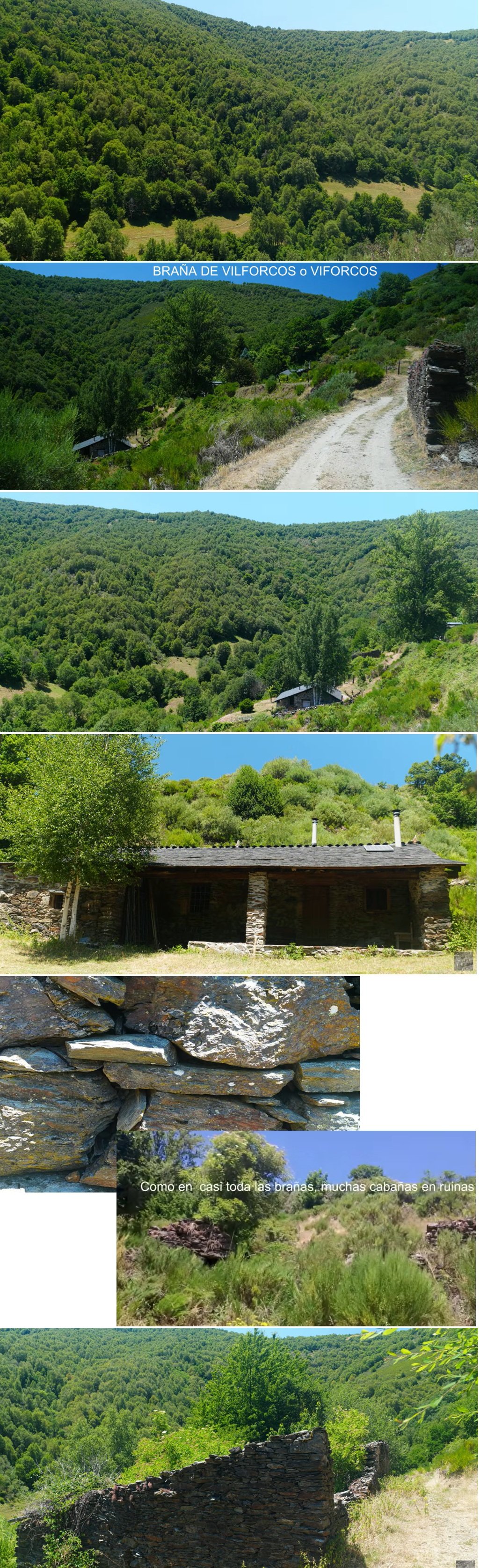braña de Vilforcos
