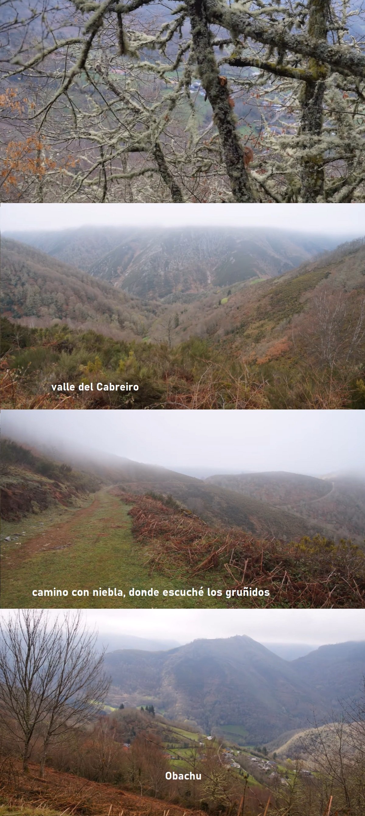 valle del Cabreiro