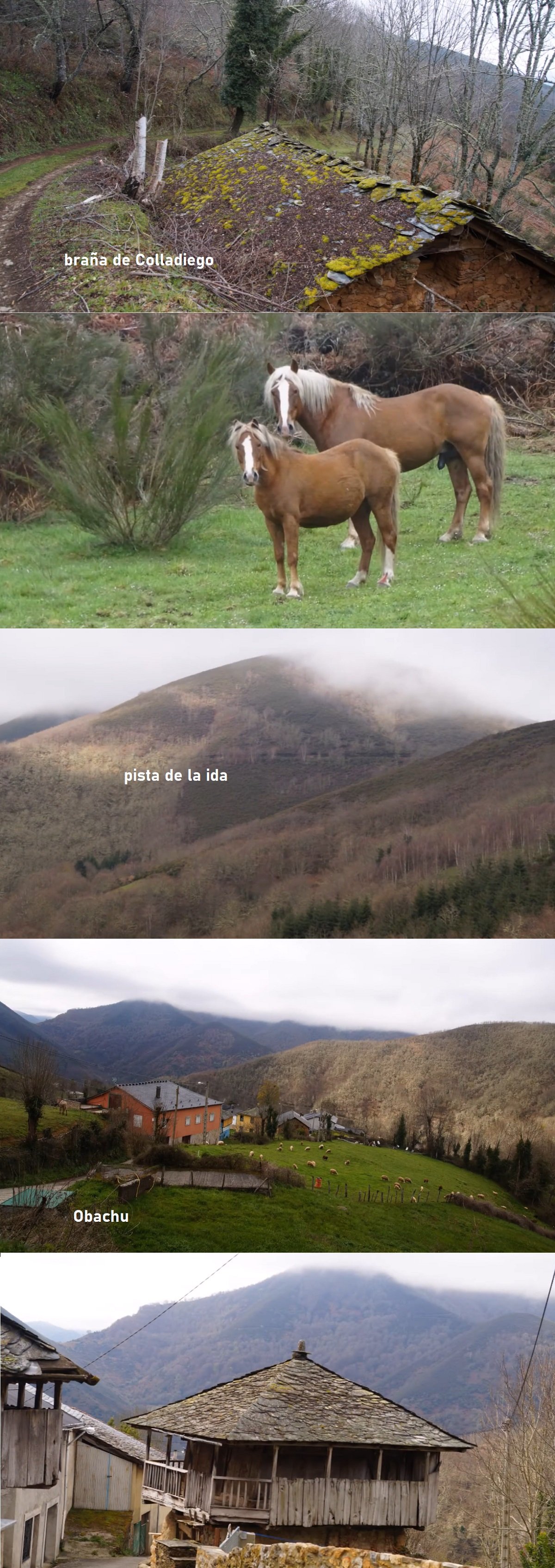 Oubachu Cangas del Narcea