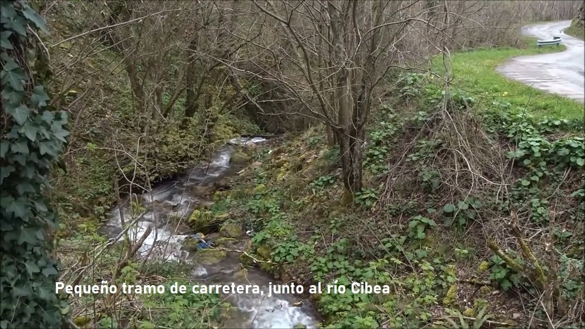 Tras Cibea, hacemos un tramito de carretera