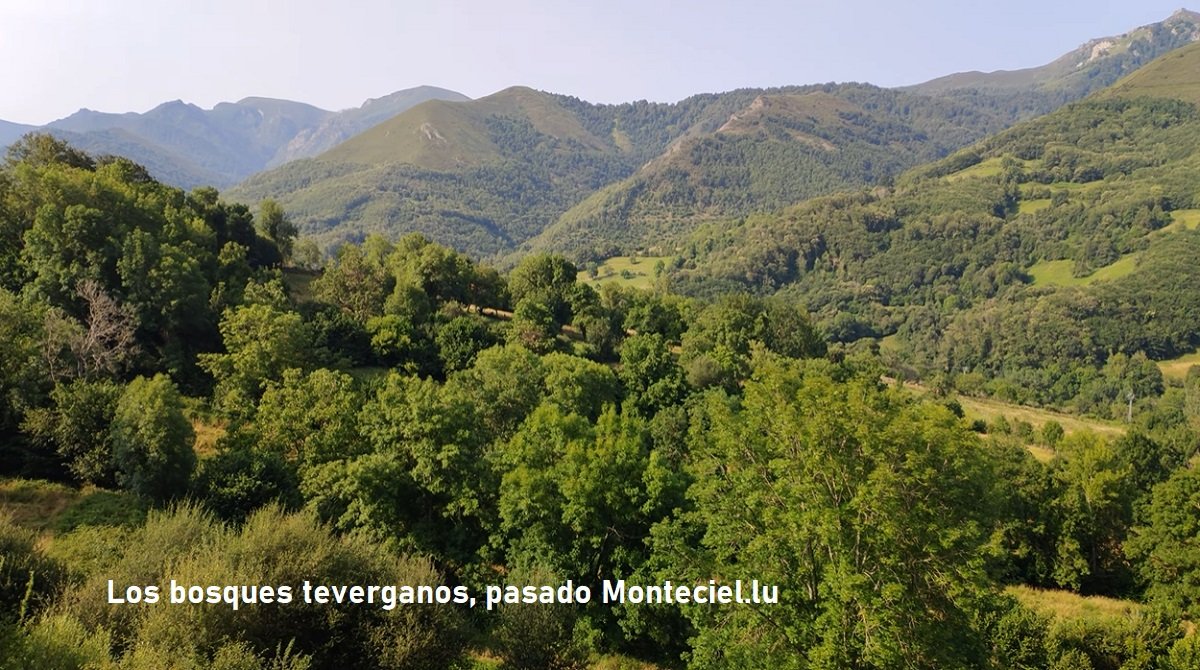 Bosques en Teverga