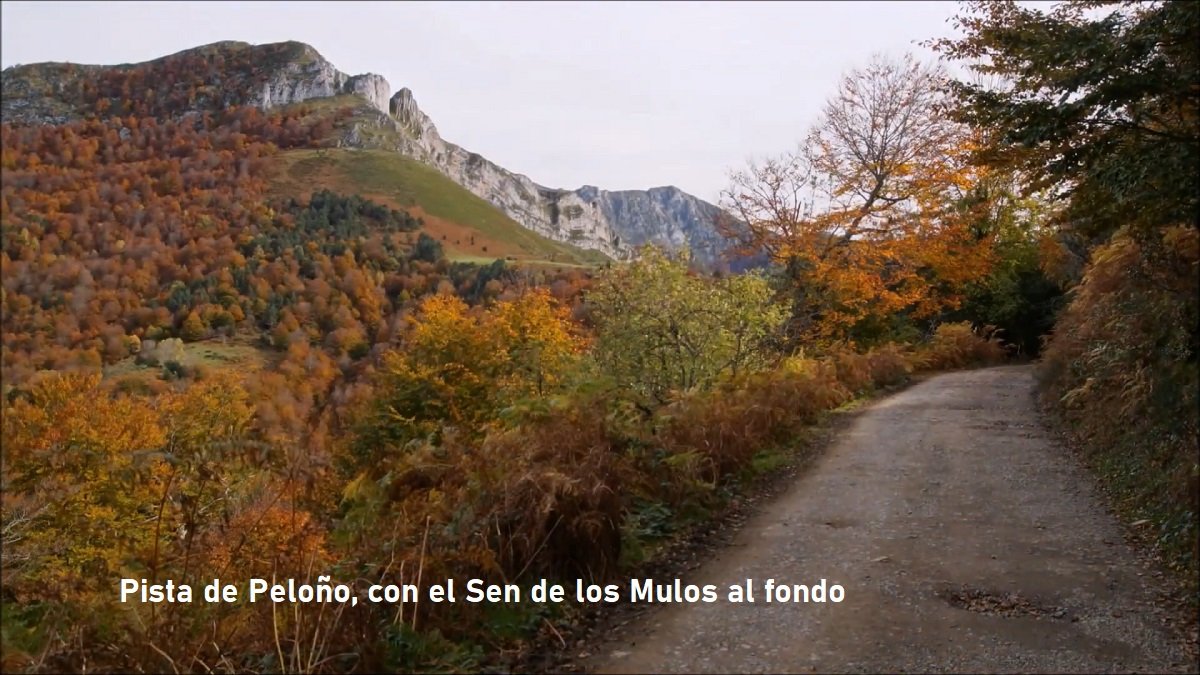 Sen de los Mulos, Ponga