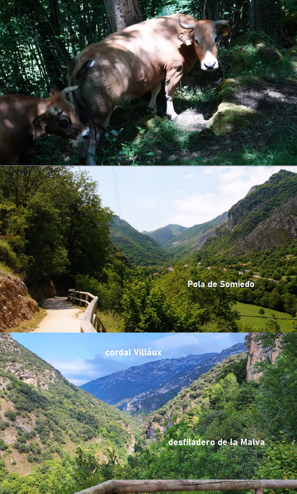 desfiladeros de la Malva y Aguino