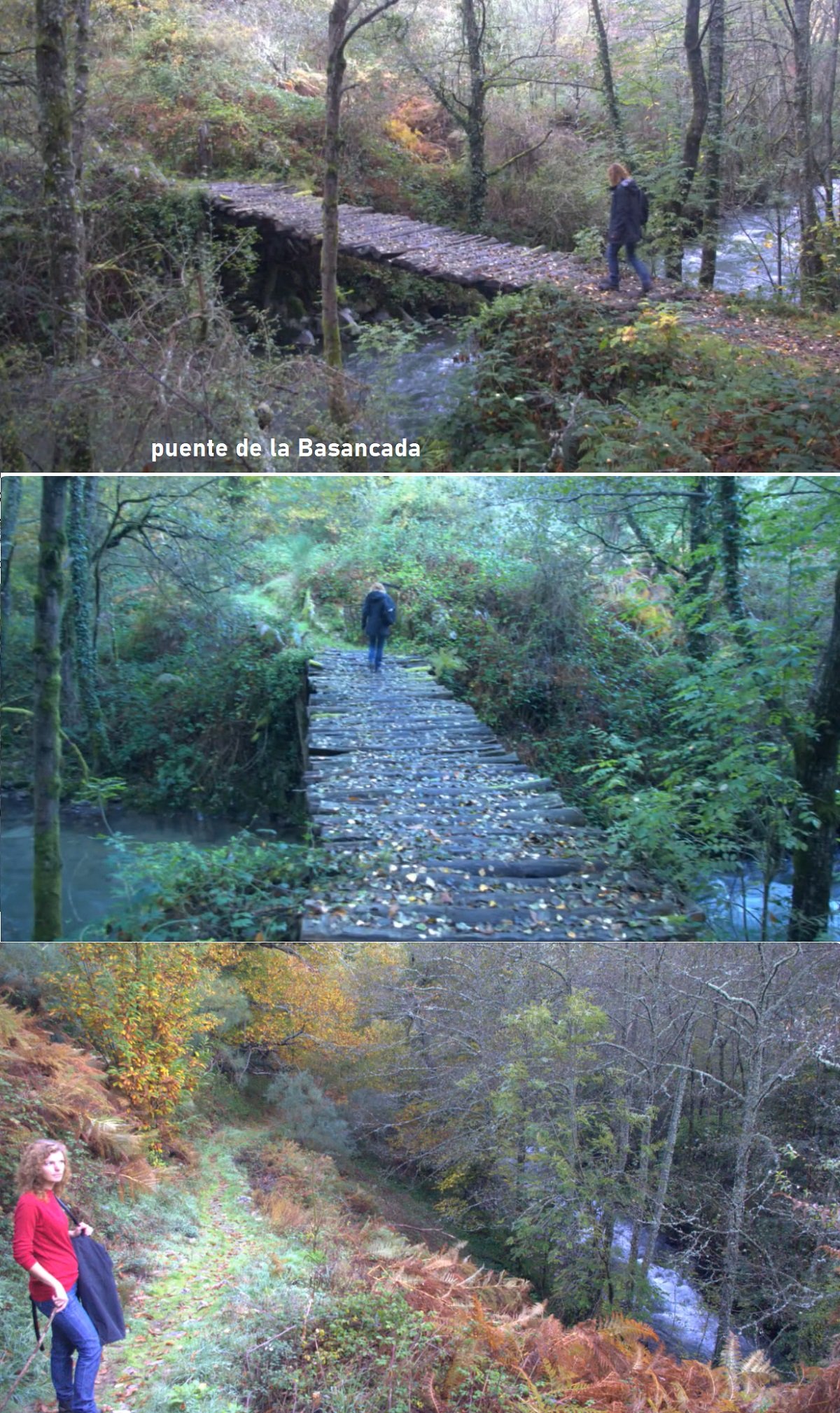 puente sobre el río Ibias