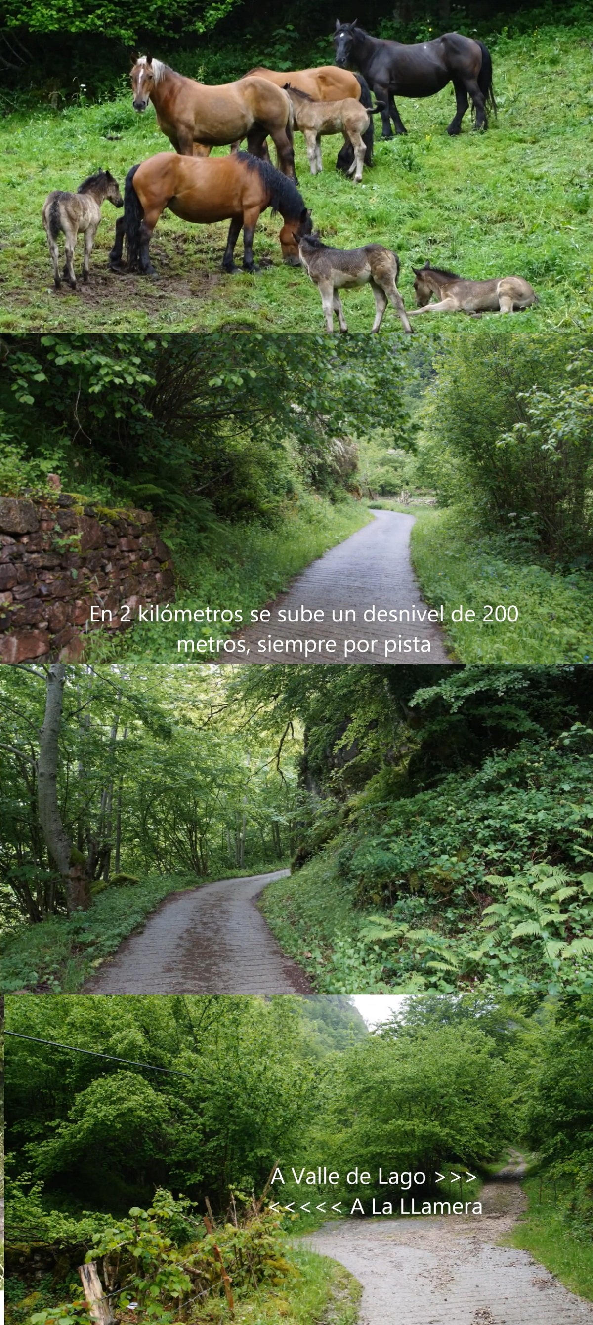 desvío a La Llamera