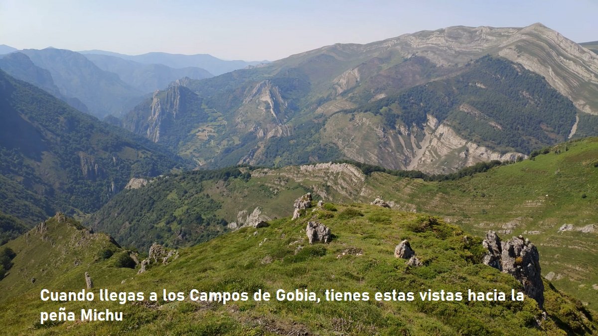 campos de gobia