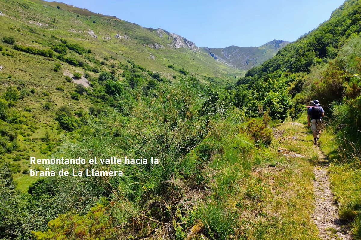 camino hacia braña La Llamera